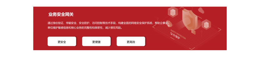 業(yè)務(wù)安全網(wǎng)關(guān)